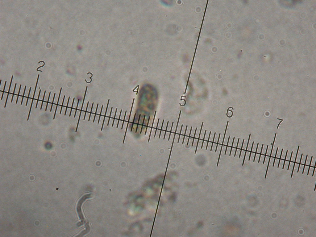 In mancanza di .... QUIZ